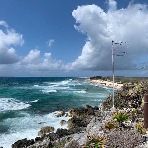 10 Taxis & Shuttles in Cozumel That You Shouldn't Miss