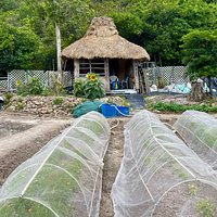 A traditional farm at the remote Sai Wan village in the Sai Kung East Country Park. The Sai Wan Rehabilitation Program has been working to preserve original village buildings and reintroduce traditional farming.