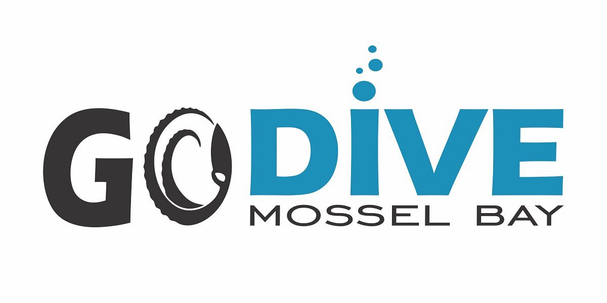 Go Dive Mossel Bay - All You Need to Know BEFORE You Go