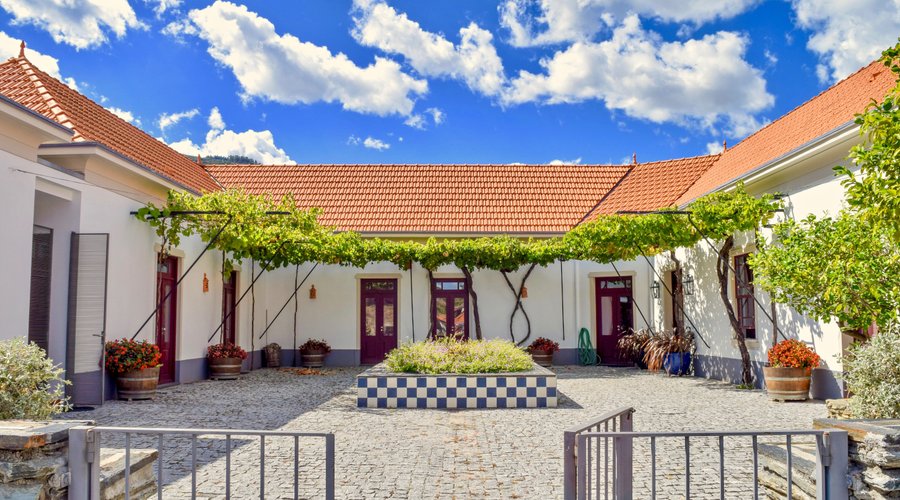 B&B private courtyard