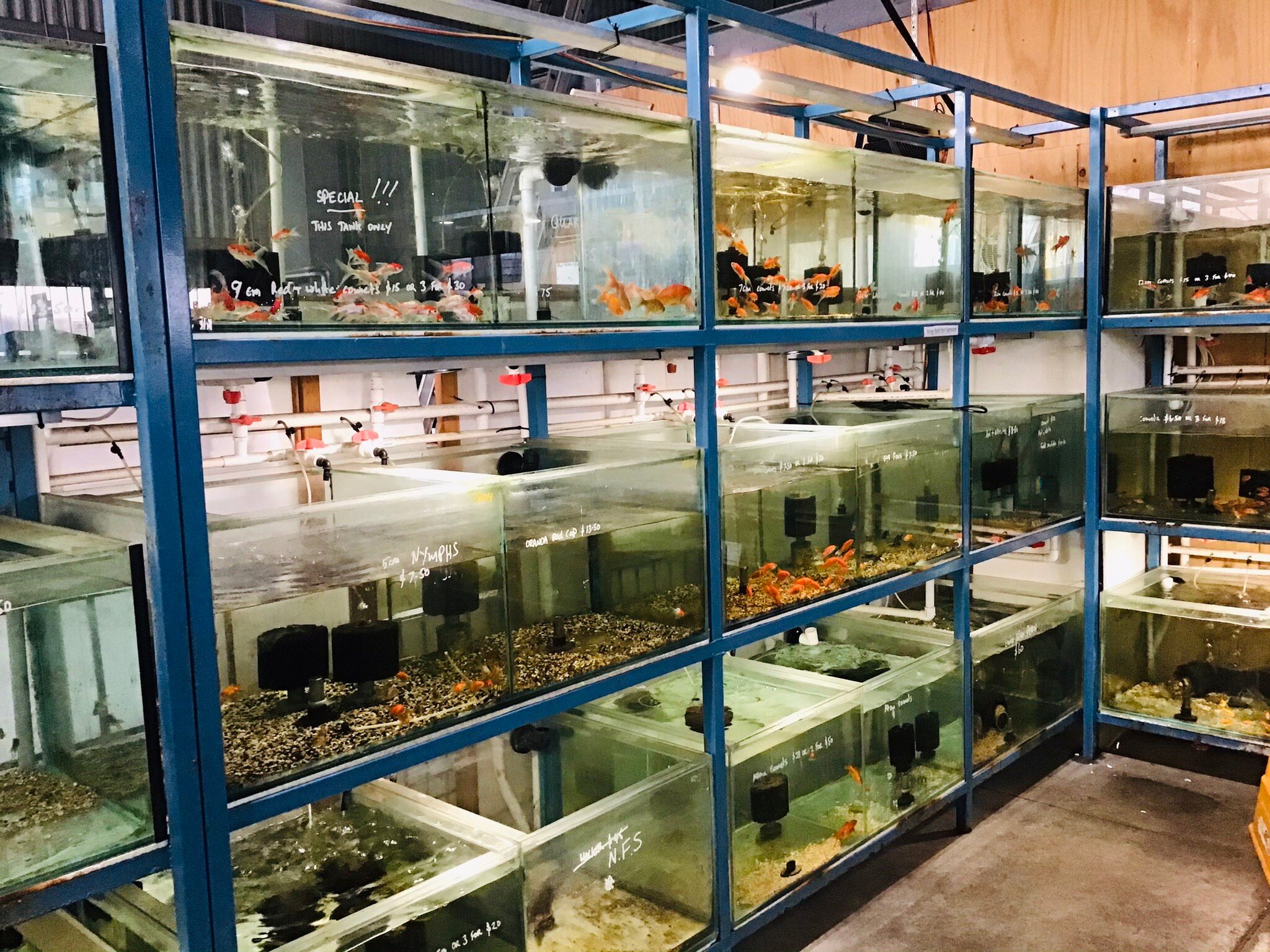 Pet shop and clearance aquarium