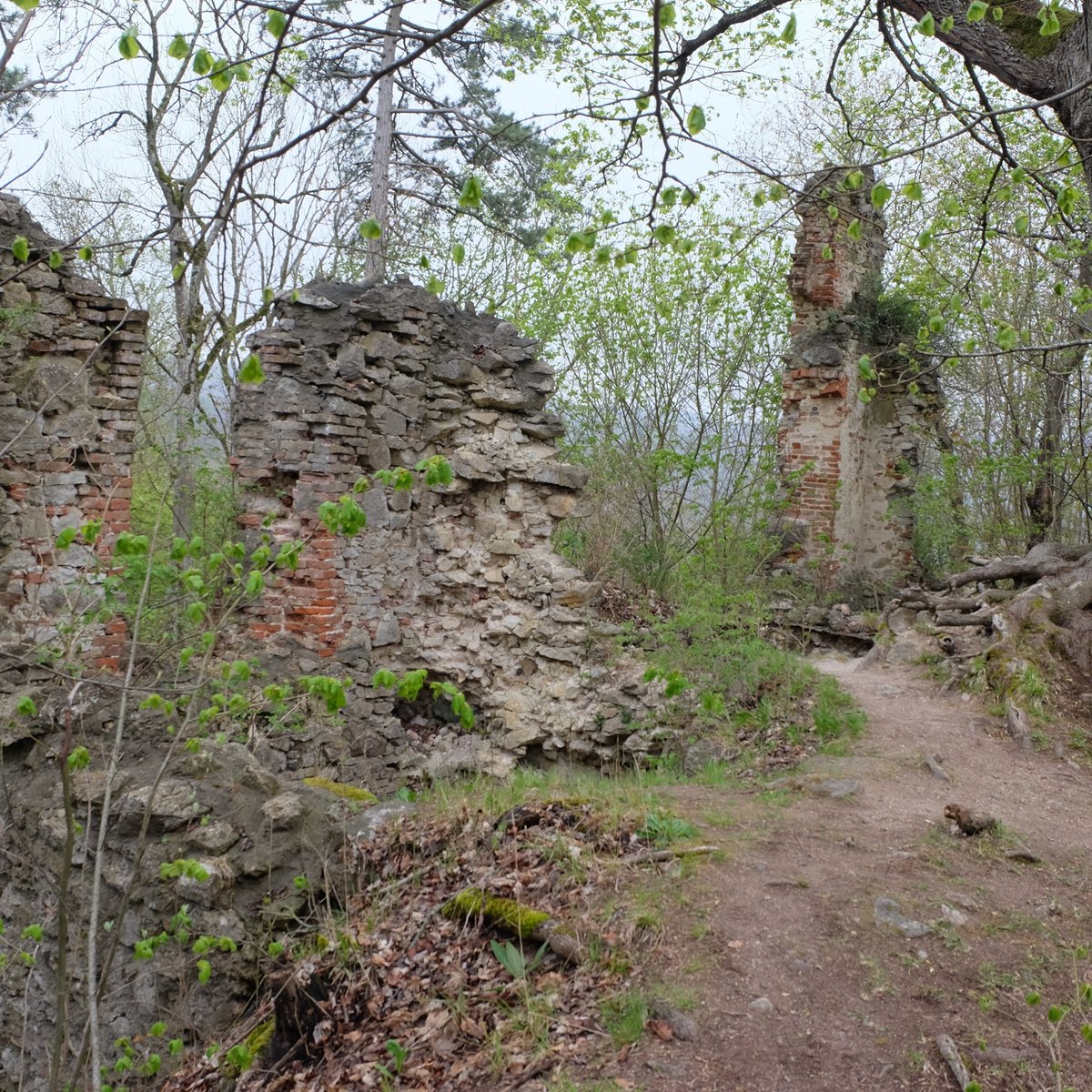 Castle Ruins Hochhaus (Ederheim) All You Need to Know BEFORE You Go