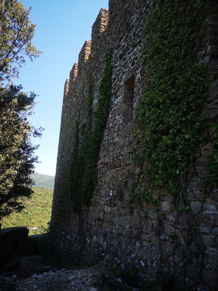 Imagen 8 de Castell de Requessens