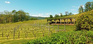 Hillsborough Vineyards (Purcellville) - All You Need to Know BEFORE You Go