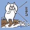 みたこ