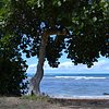 big island submarine tours pepperpottsdoll