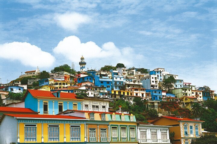 Kenzo 72 outlet old town quito