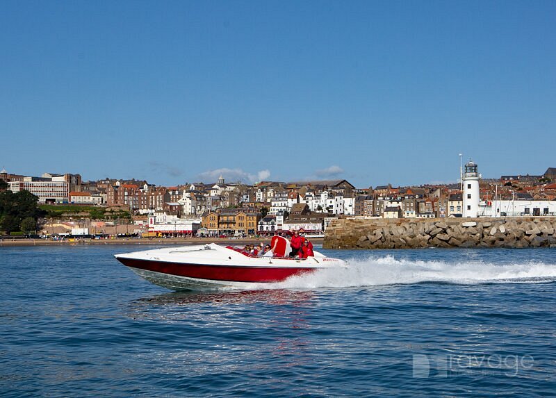 scarborough speedboat rides tours