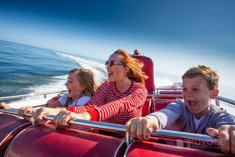 scarborough speedboat rides tours