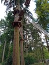 Go Ape Thetford 21 All You Need To Know Before You Go With Photos Thetford Uk Tripadvisor