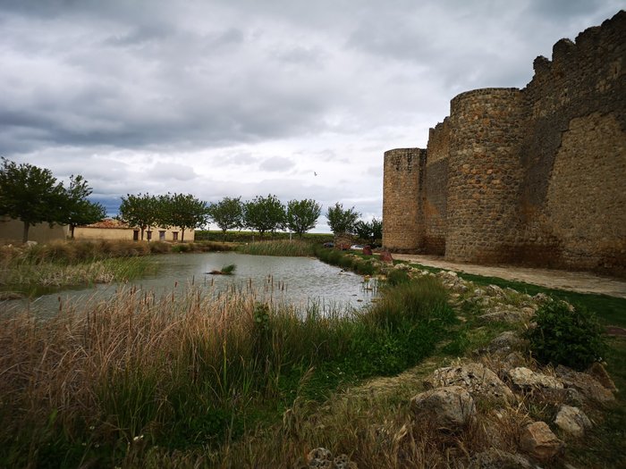 Imagen 10 de Castillo de Urueña