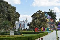 The Majestic Árbol del Tule in Oaxaca