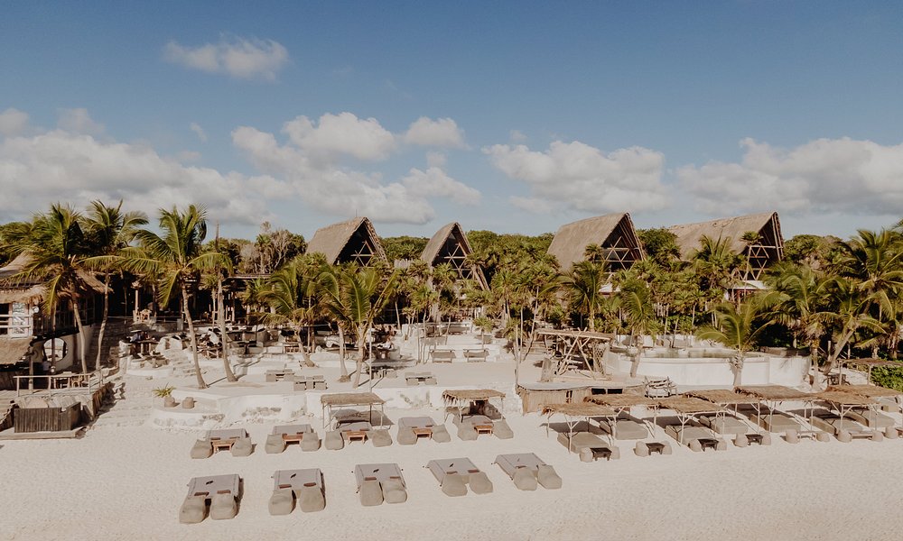 papaya project tulum reviews