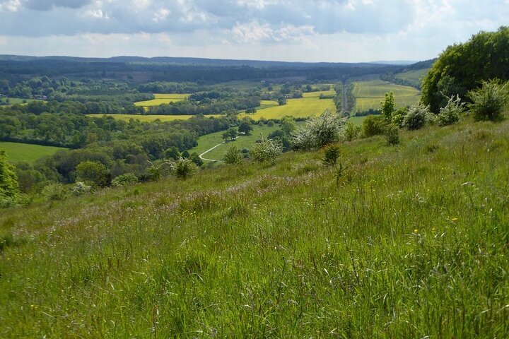 2024 Butterflies and Orchids of the North Downs