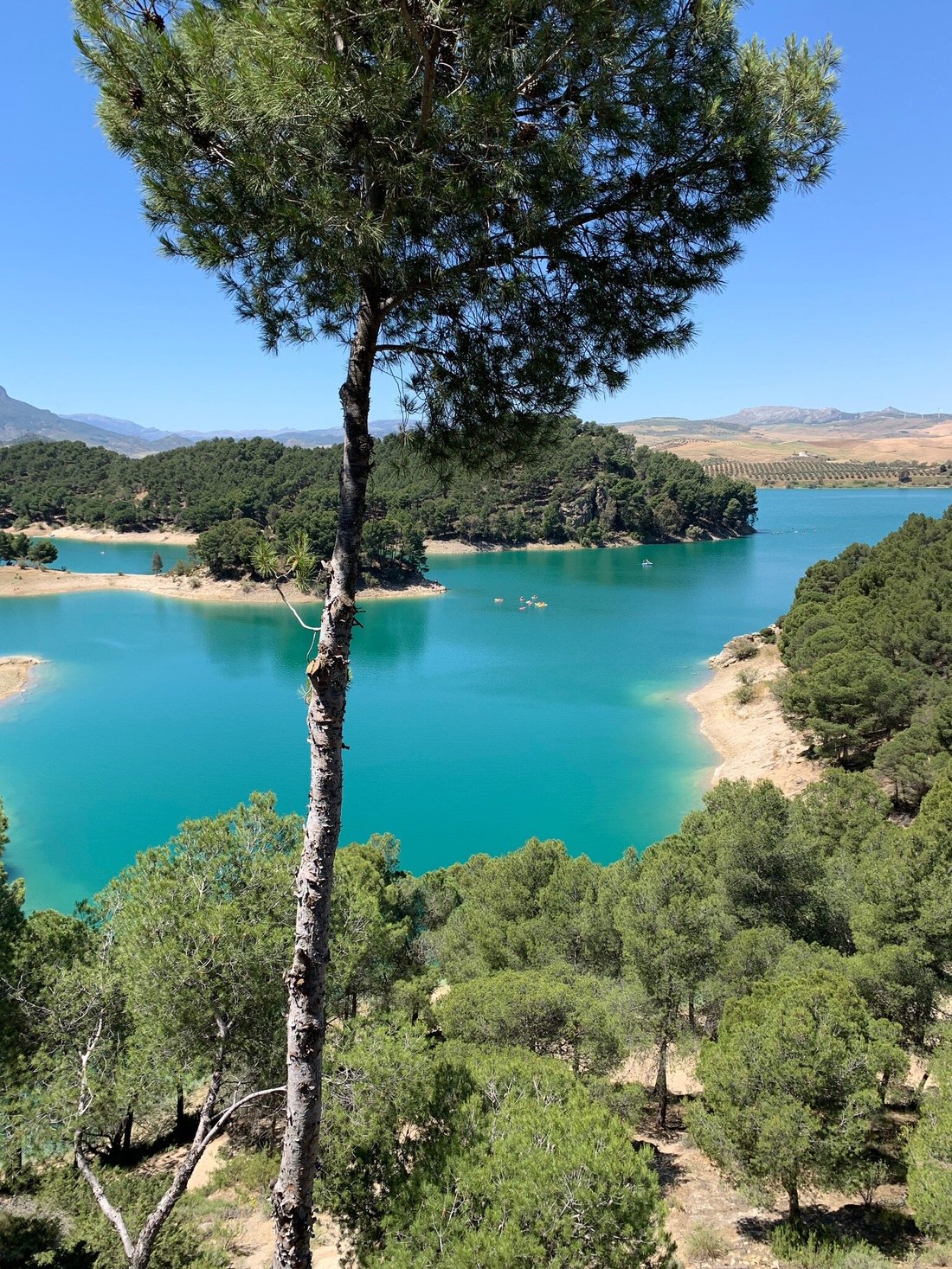 the-olive-branch-el-chorro-updated-2024-prices-reviews-photos