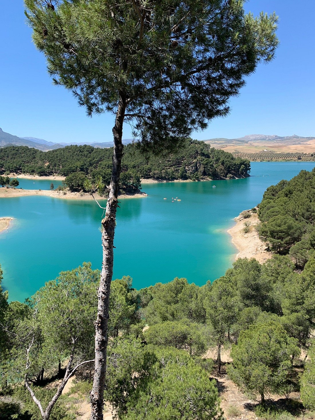 The Olive Branch El Chorro UPDATED 2024 Prices Reviews Photos the-olive-branch-el-chorro-updated-2024-prices-reviews-photos