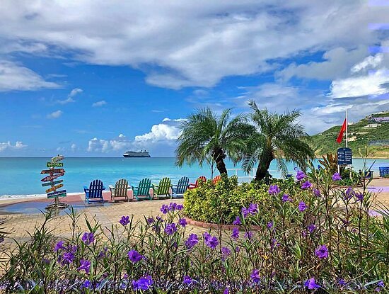 Divi Little Bay Beach Resort, hotel in St Martin / St Maarten