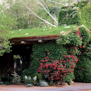 Welcome to El Portal Sedona Hotel, offering a unique lodging experience for guests and their pets in unpretentious luxury!