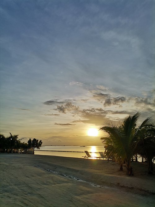 Solea Palm Resort Mactan Mactan Island Cebu Island Hotel Reviews
