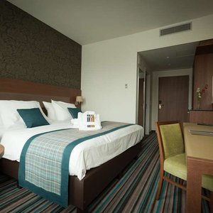 Leopold Hotel Oudenaarde Deluxe King Overview with door to corridor