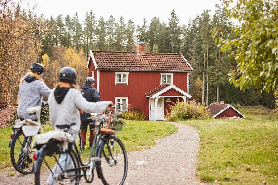 Cykla I Filmlandskapet image