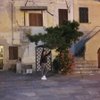 iridella