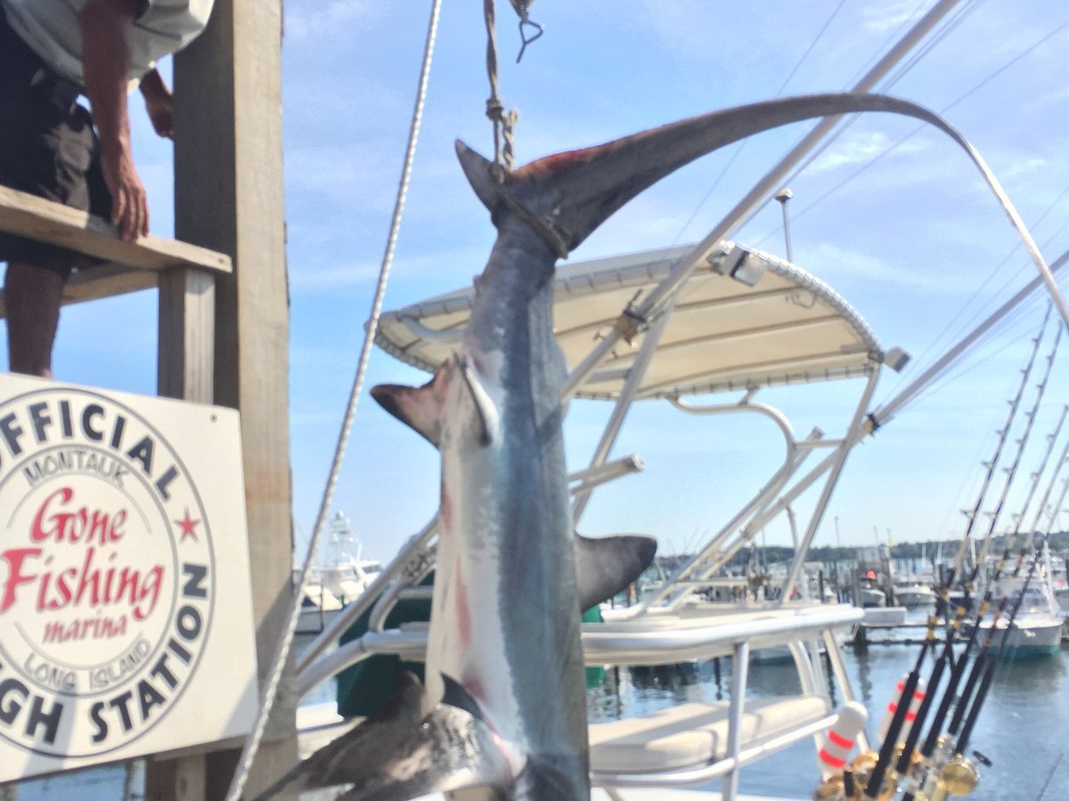 Four C's Montauk Sportfishing - All You Need To Know Before You Go (2024)