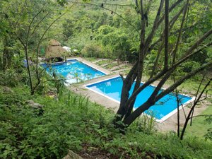 CABAÑAS Y CASAS DEL ÁRBOL LA HUERTA (Xilitla, San Luis Potosí): opiniones y  precios