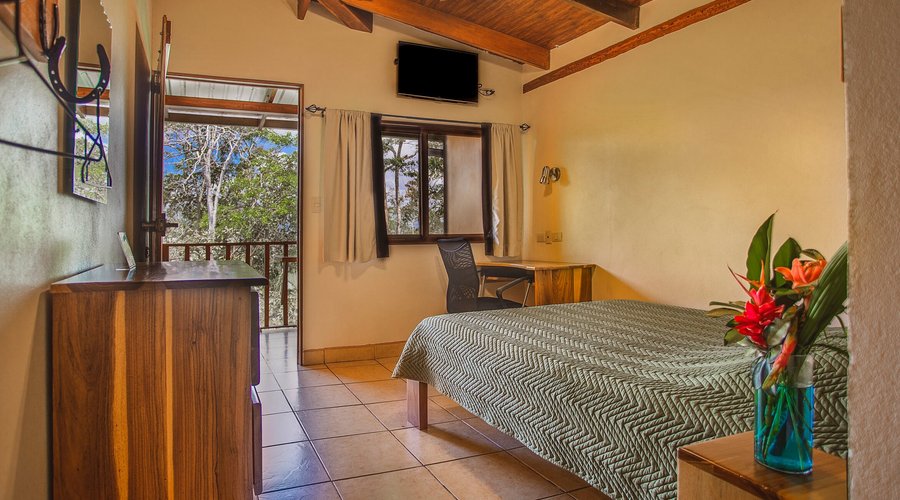 Habitación ejecutiva terraza 