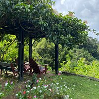 Le Jardin Du Roi Spice Garden (Mahe Island) - 2021 All You Need to Know