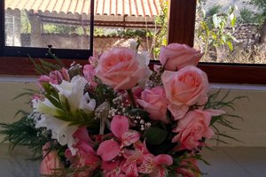 Comedor