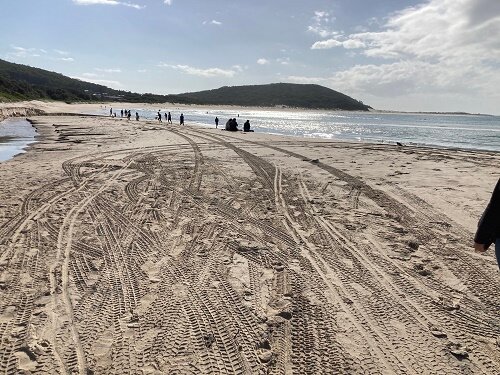 Fingal Bay Beach: All You Need To Know BEFORE You Go