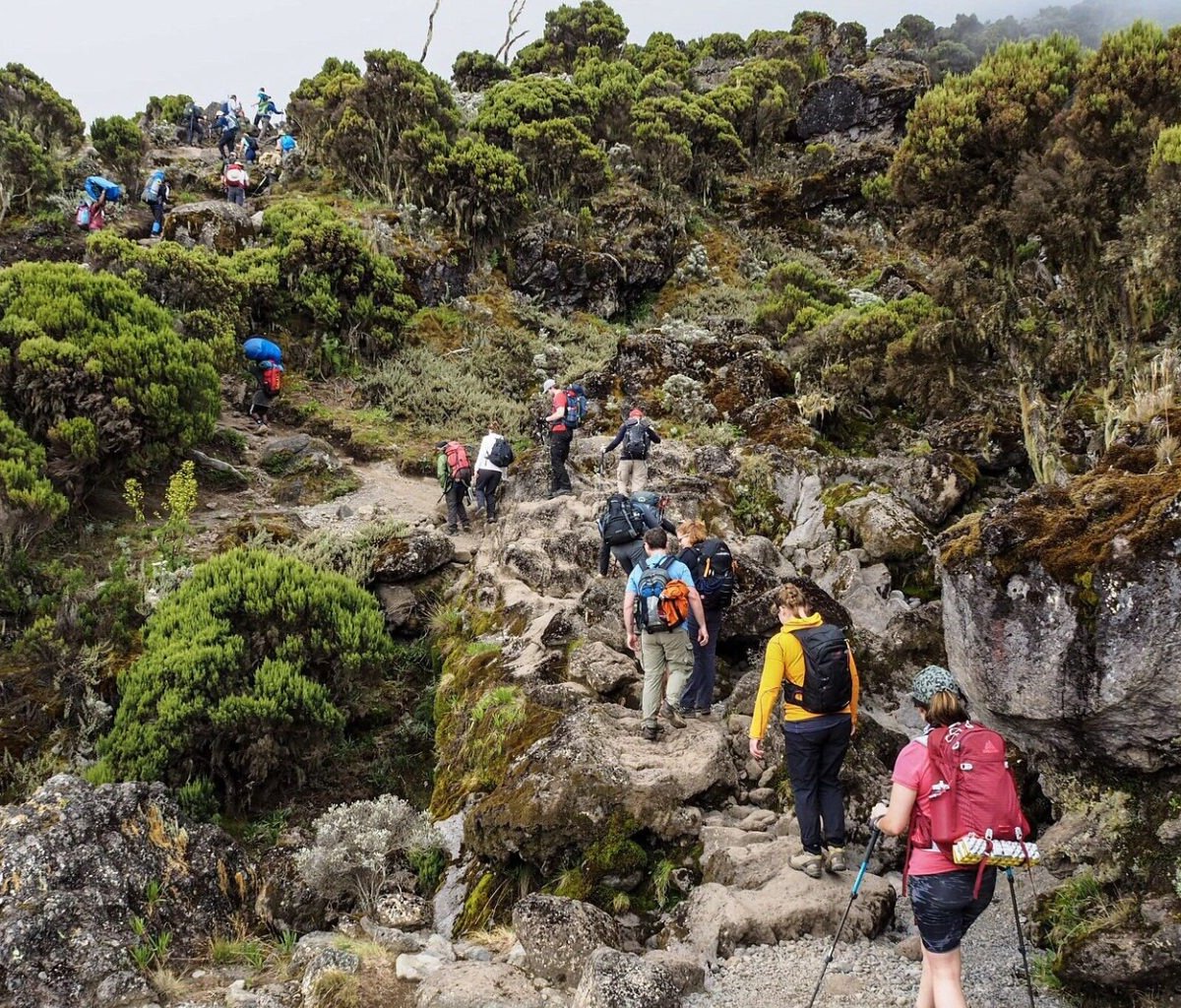 Kilimanjaro Elite Tours - All You Need to Know BEFORE You Go (2024)