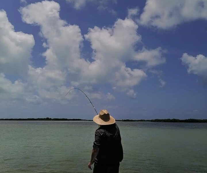 Bonefish Cozumel - All You Need to Know BEFORE You Go