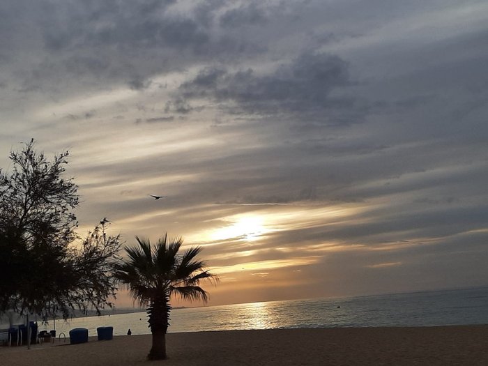 Imagen 4 de Playa de Badalona