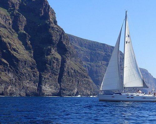 Los Gigantes Whale Watching Charter by Sail Boat