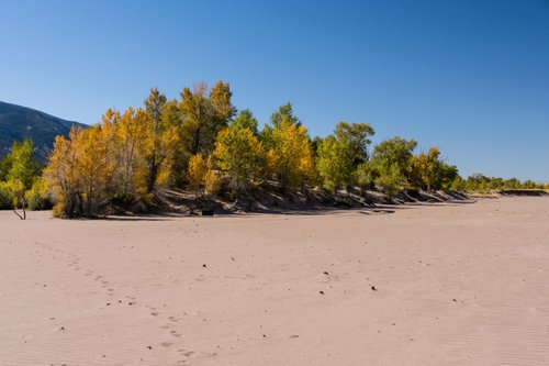 Great Sand Dunes National Park & Preserve Steve5863 review images