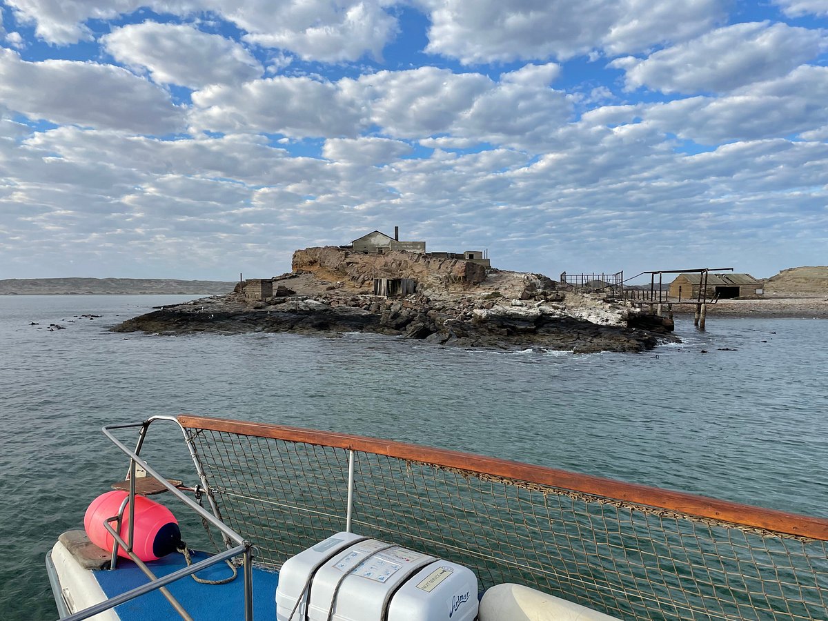 zeepaard boat tours luderitz