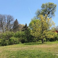 High Park (Toronto) - All You Need to Know BEFORE You Go