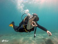 Steps to follow before a dive: how to be well prepared and enjoy a safe dive  - Diving Atlantis Tenerife