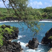 Honokalani Black Sand Beach (Hana) - All You Need to Know BEFORE You Go