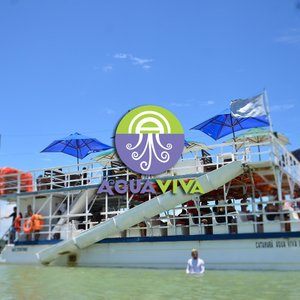 Lup Beach Club: Passeio Ilha de Santo Aleixo + Day Use (Com transfer) -  Porto de Galinhas