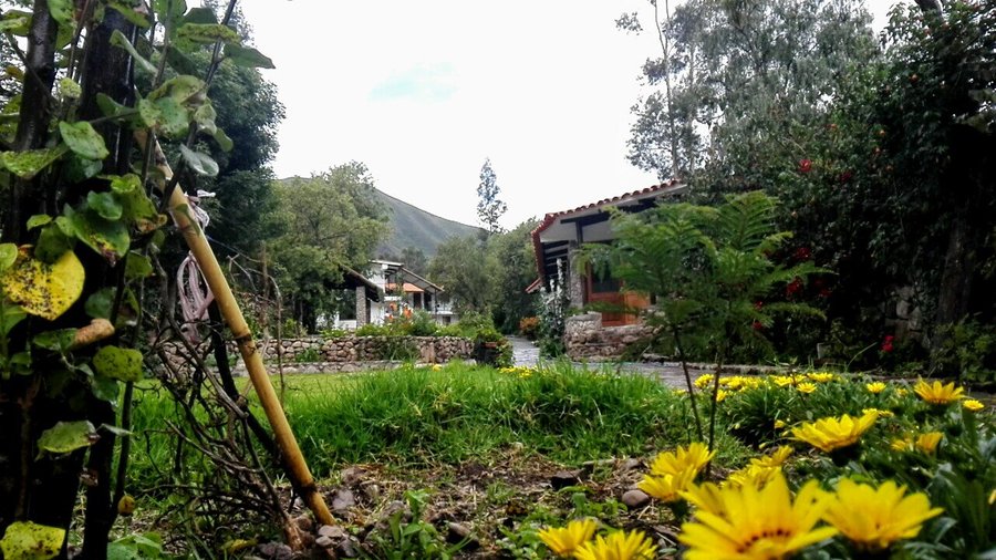 jardines