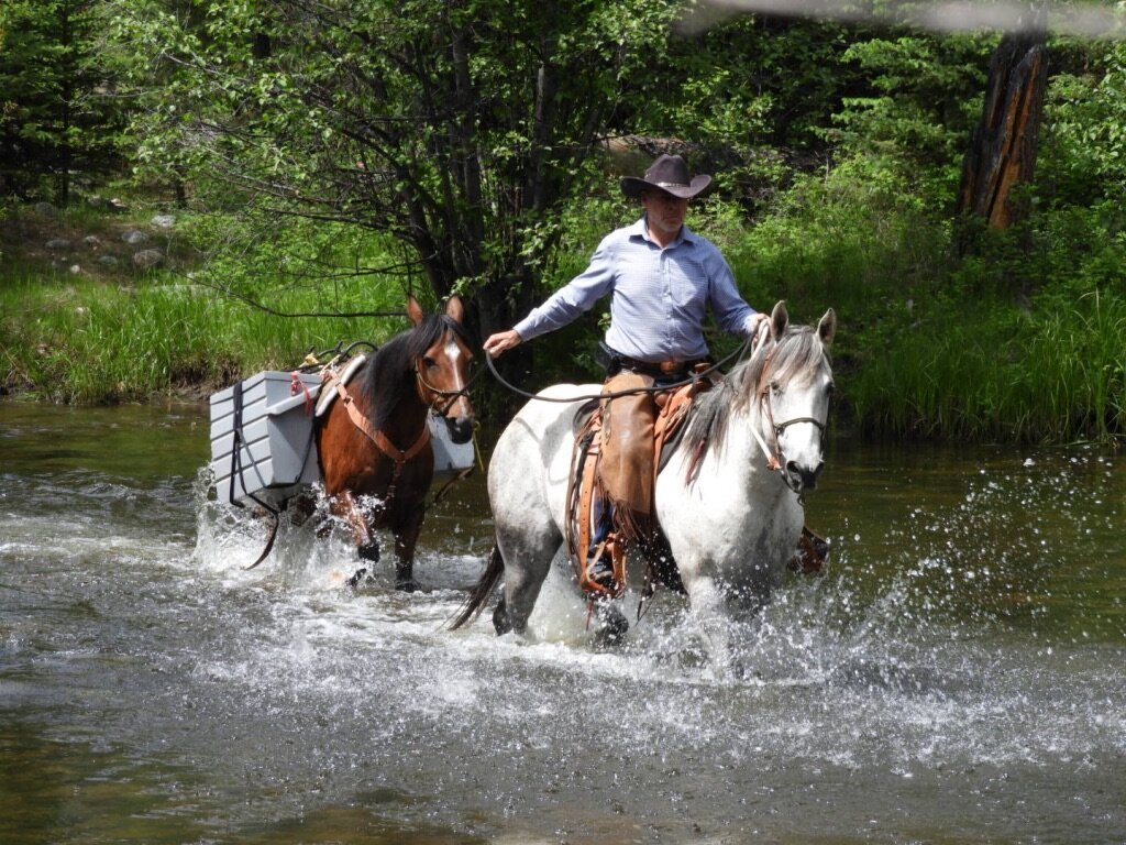 Wolf Valley Guest Ranch (Bridge Lake) - 호텔 리뷰