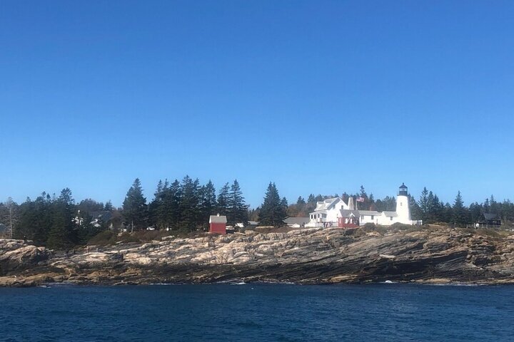 Boothbay Harbor Cruise: Lighthouses, Lobster Haul, and Seals