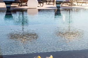 Piscine et plage