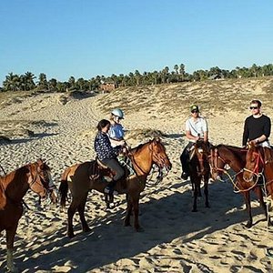 eco baja tours reviews