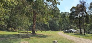 Lightning Creek Campground (Mitta Mitta): All You Need to Know