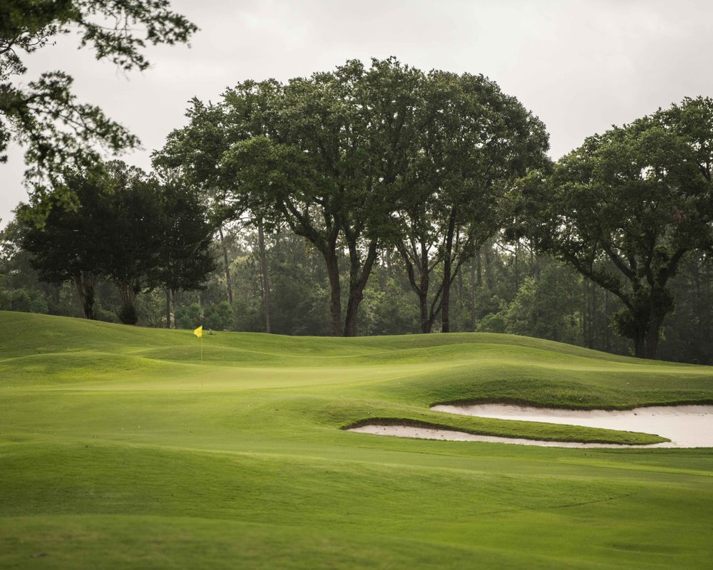 THE 10 BEST Mississippi Golf Courses (Updated 2023) Tripadvisor