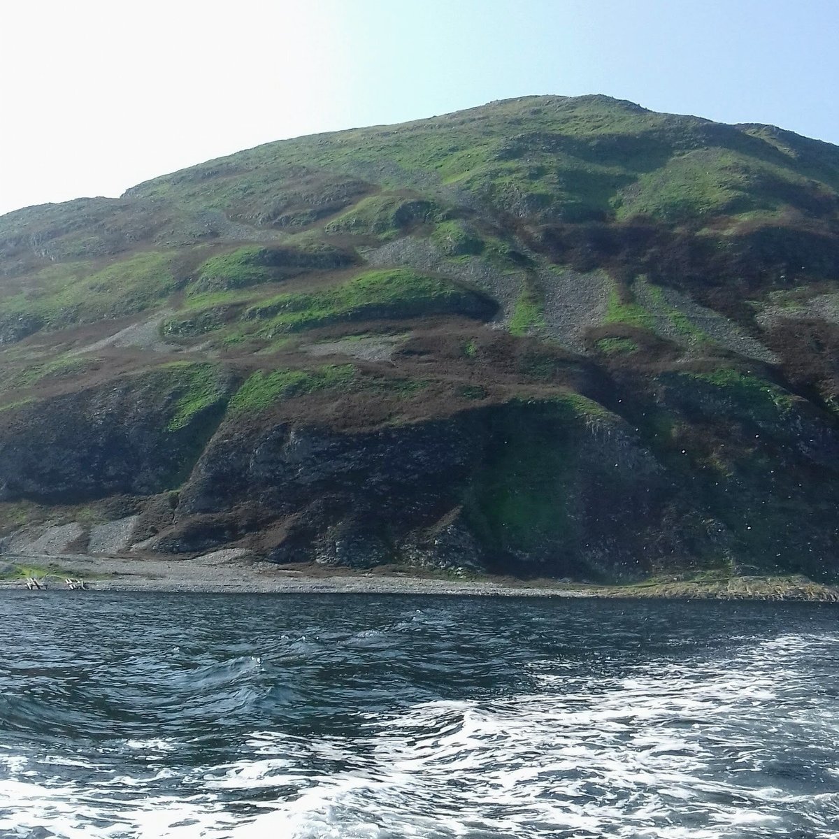 Ailsa Craig: The Lighthouse Of Onion Sets